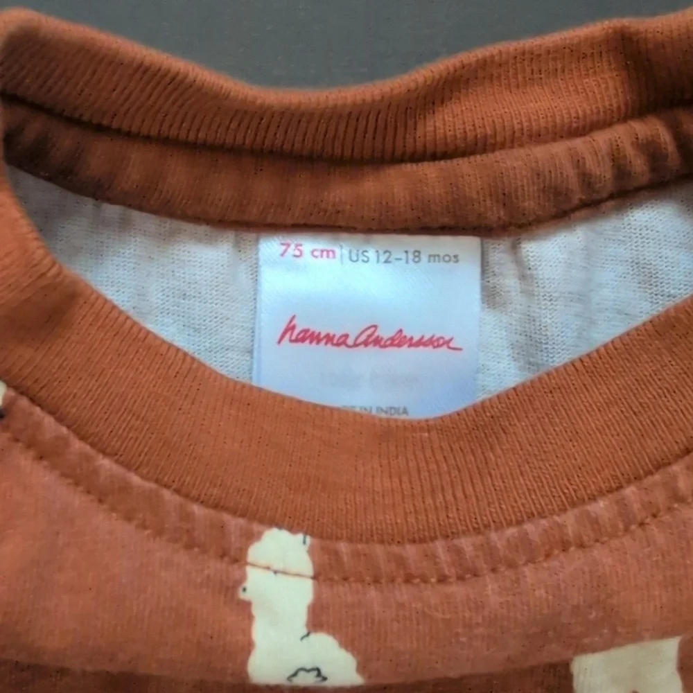 Hanna Andersson 12-18 Month Llama Print Long Sleeve Tee & French Terry Pants Set